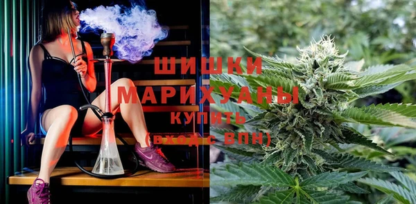 PSILOCYBIN Нея