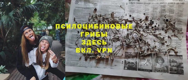 соль ск Нефтегорск