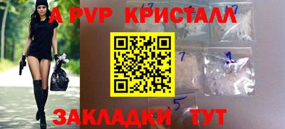 СК Донецк