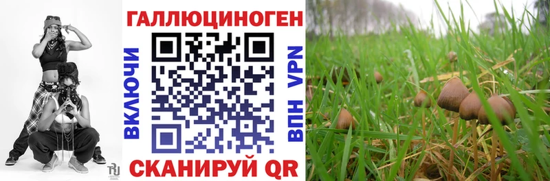 KRAKEN как зайти  Минусинск  Псилоцибиновые грибы Cubensis 