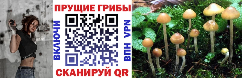 Псилоцибиновые грибы MAGIC MUSHROOMS Минусинск